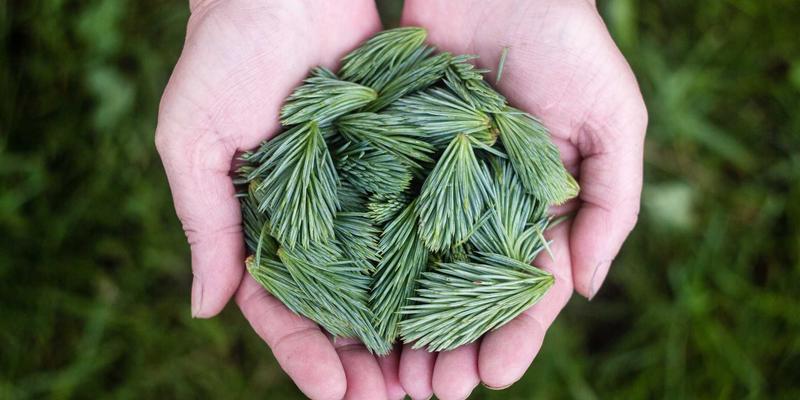 工业风灯具的演变史：康森莱特如何以红色主题灯饰融合复古与现代