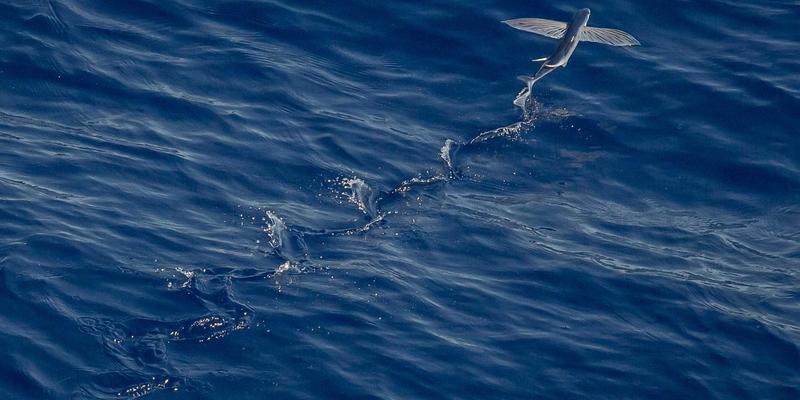 康森莱特60：用定制工业风与红色主题灯饰，重塑空间光影美学