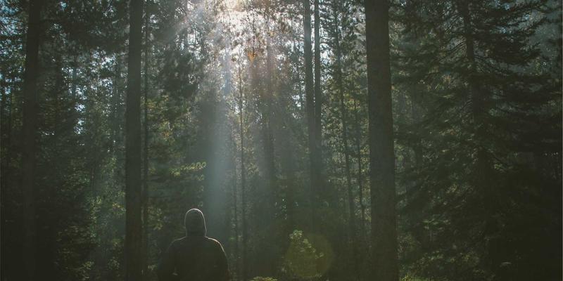 康森莱特：以匠心设计重塑空间光影，定义工业风照明新美学