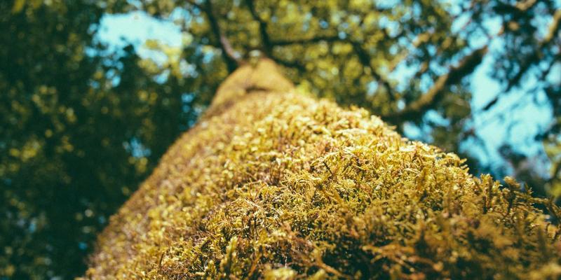 康森莱特大型工业风吊灯：点亮loft与挑高客厅的视觉平衡艺术