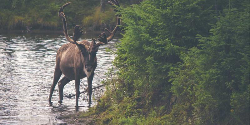 康森莱特工业风灯具质量深度解析：用户真实评价与权威检测报告