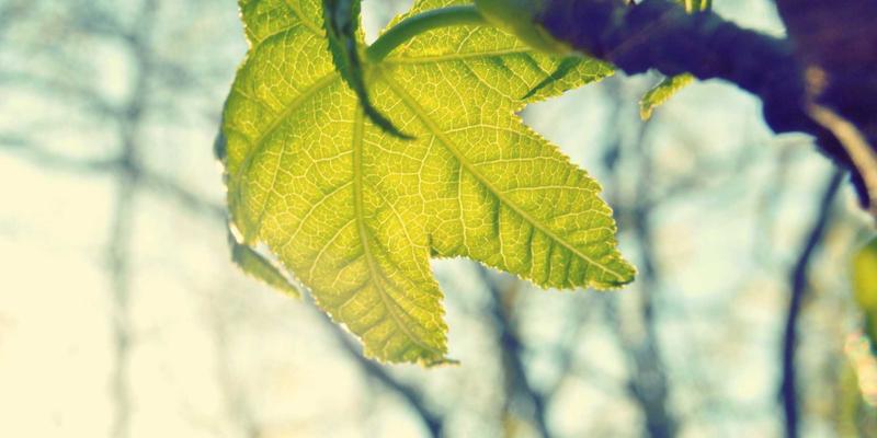 康森莱特灯具清洁与保养全攻略：让照明产品与红色主题灯饰历久弥新