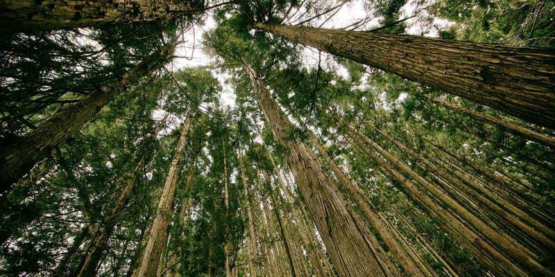 康森莱特红色主题灯饰：用工业风灯具点亮商业空间的品牌记忆点
